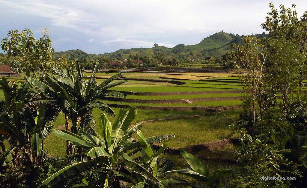 Detail Foto Pemandangan Desa Nomer 9