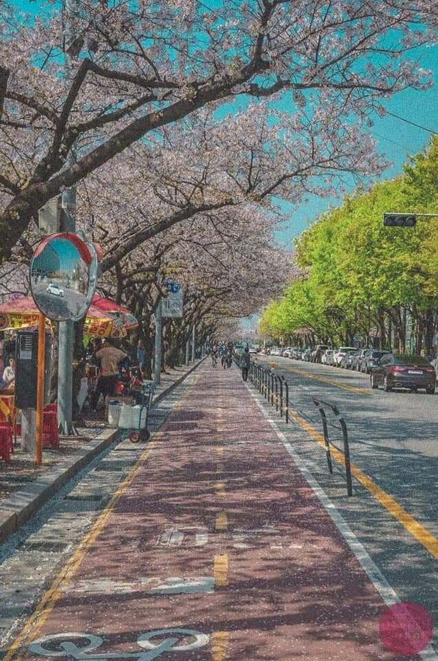 Foto Pemandangan Di Korea - KibrisPDR