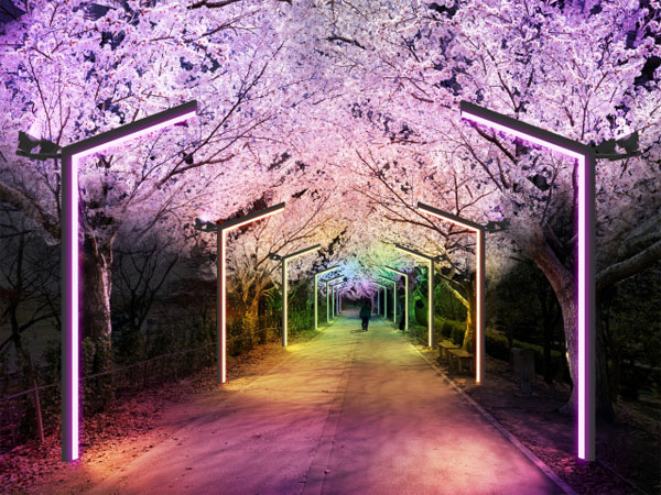 Detail Foto Pemandangan Di Korea Nomer 12