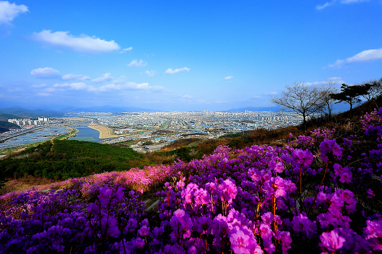 Detail Foto Pemandangan Di Korea Nomer 14