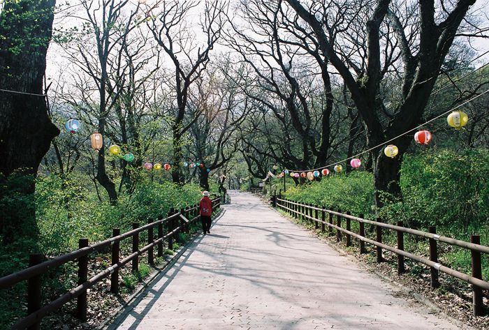 Detail Foto Pemandangan Di Korea Nomer 17