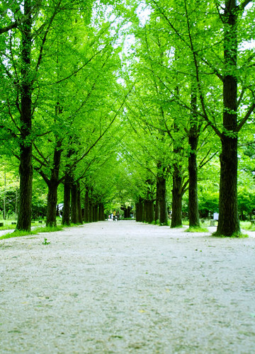 Detail Foto Pemandangan Di Korea Nomer 20
