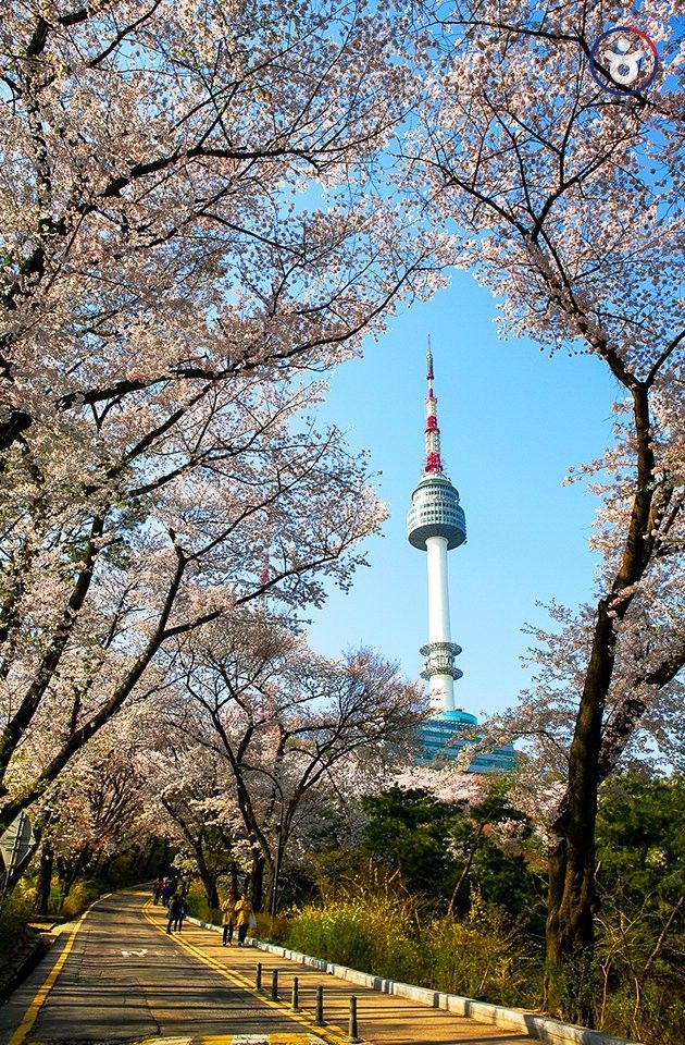 Detail Foto Pemandangan Di Korea Nomer 3