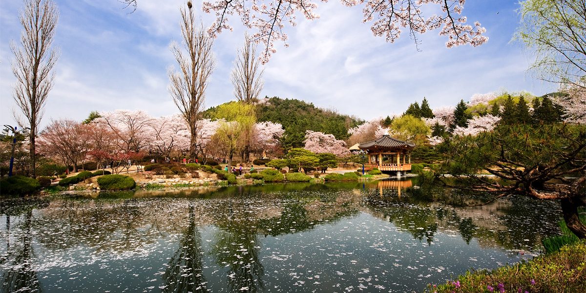 Detail Foto Pemandangan Di Korea Nomer 25