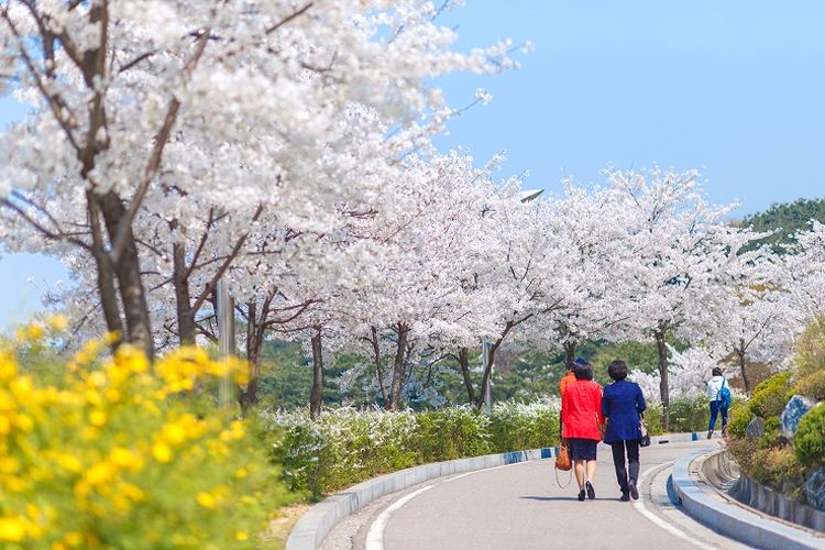 Detail Foto Pemandangan Di Korea Nomer 26