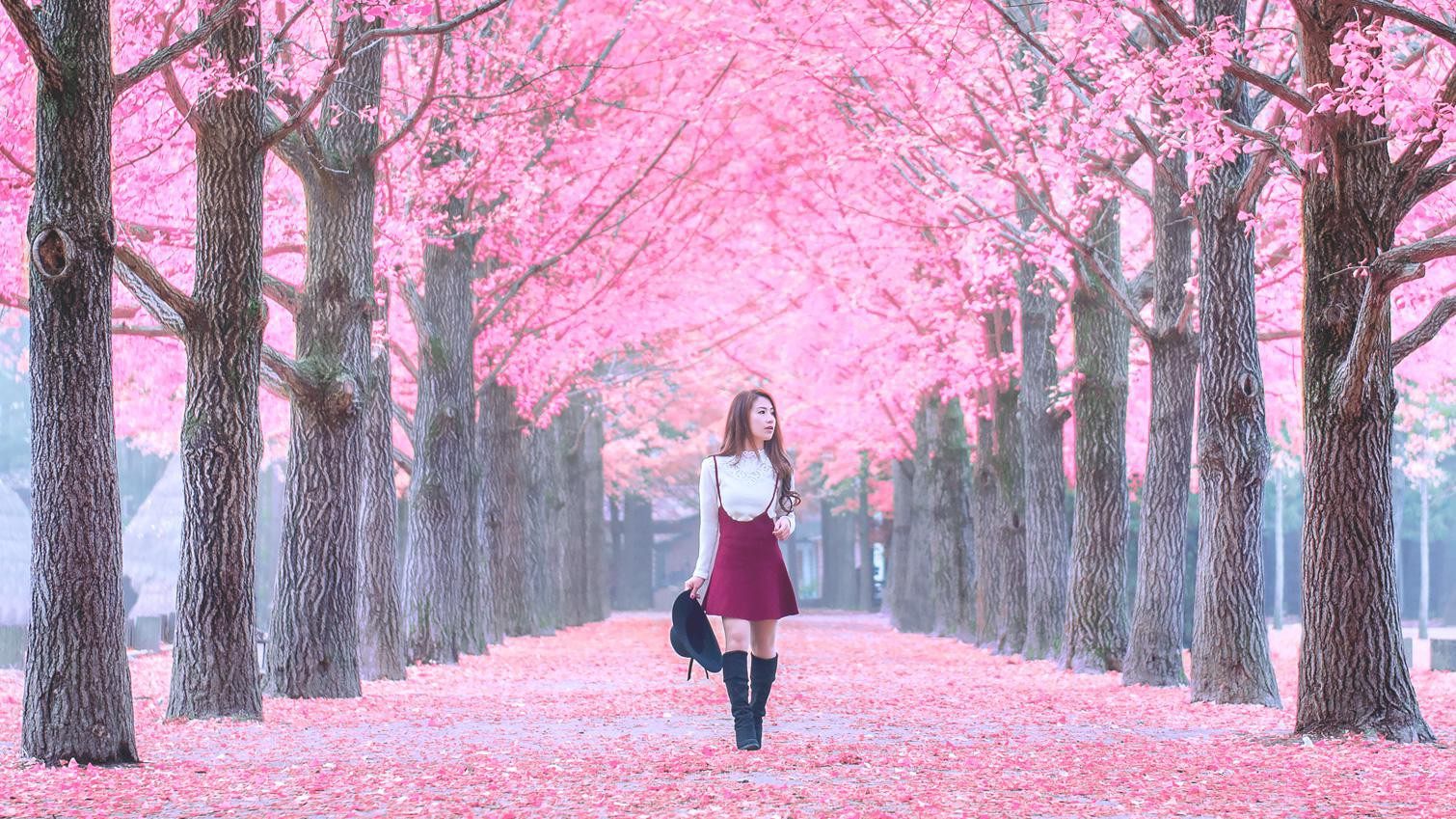 Detail Foto Pemandangan Di Korea Nomer 30