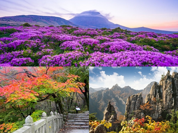 Detail Foto Pemandangan Di Korea Nomer 41