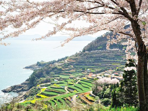 Detail Foto Pemandangan Di Korea Nomer 44