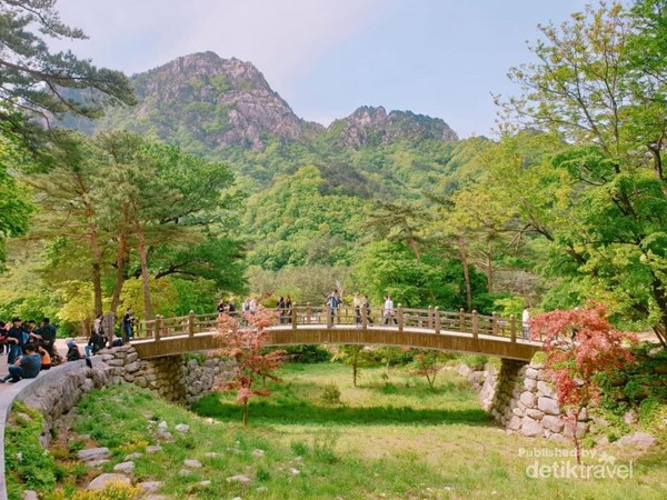 Detail Foto Pemandangan Di Korea Nomer 54