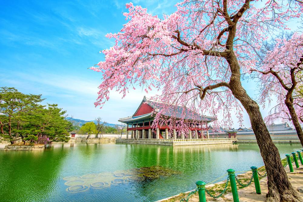 Detail Foto Pemandangan Di Korea Nomer 10