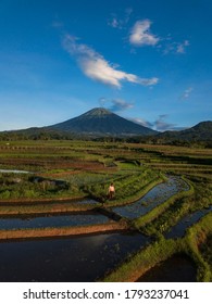 Detail Foto Pemandangan Gunung Nomer 44