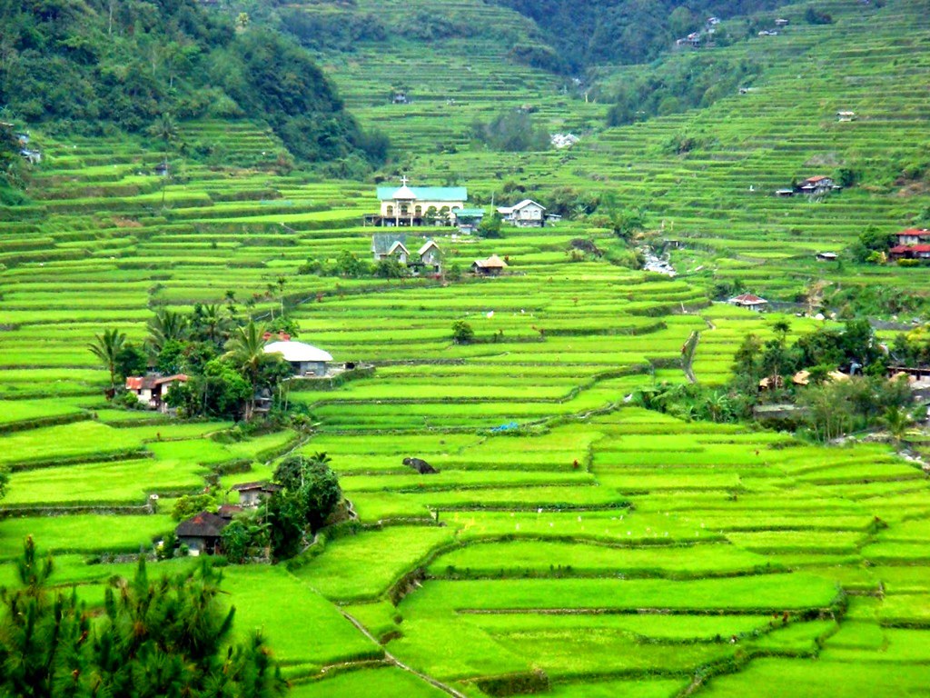 Detail Foto Pemandangan Gunung Nomer 47