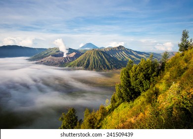 Detail Foto Pemandangan Gunung Bromo Nomer 34