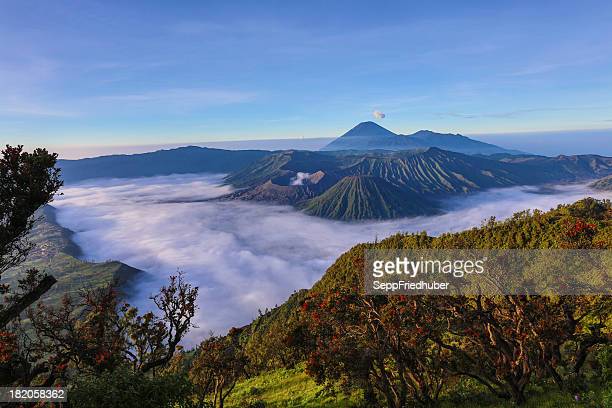 Detail Foto Pemandangan Gunung Bromo Nomer 44