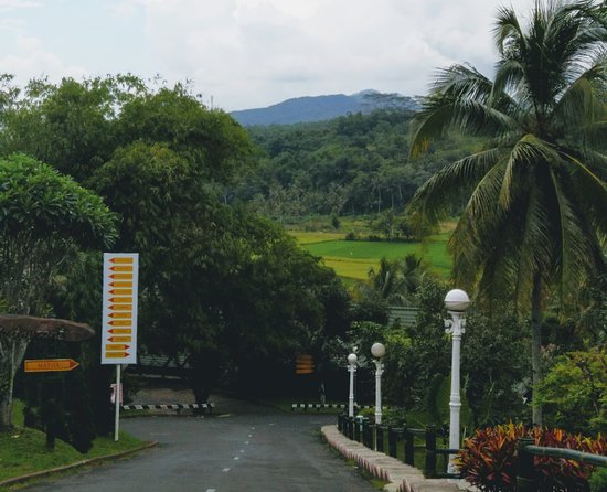 Detail Foto Pemandangan Gunung Dan Sawah Nomer 11