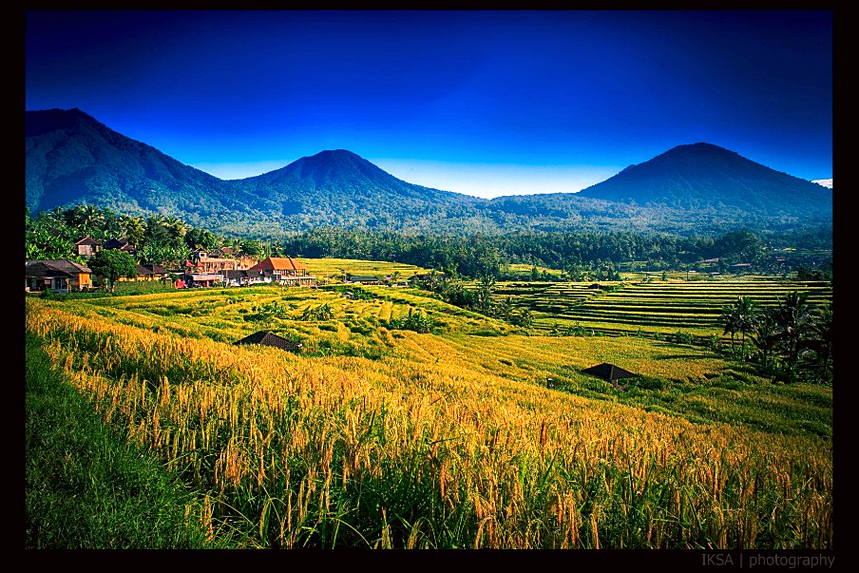 Detail Foto Pemandangan Gunung Dan Sawah Nomer 16