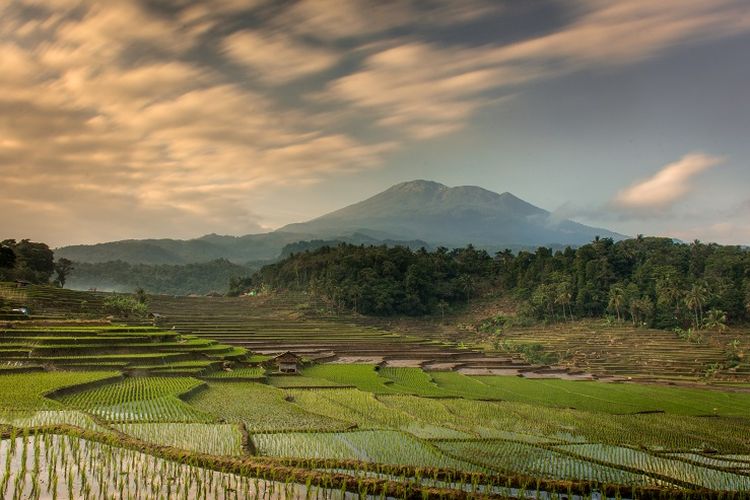 Detail Foto Pemandangan Gunung Dan Sawah Nomer 37