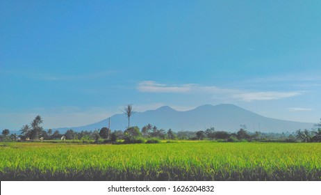 Detail Foto Pemandangan Gunung Dan Sawah Nomer 10