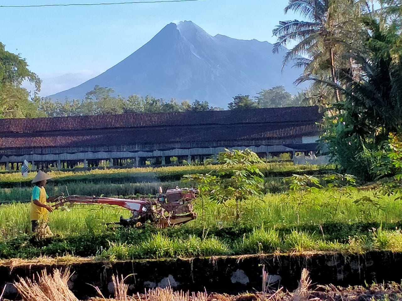 Detail Foto Pemandangan Gunung Merapi Nomer 28