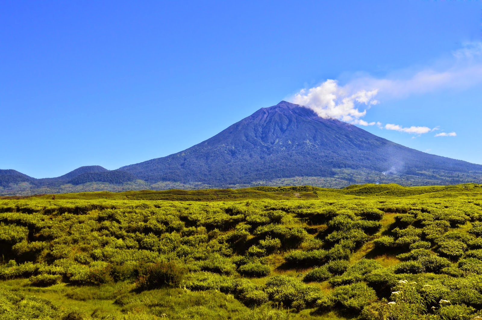 Detail Foto Pemandangan Gunung Yang Indah Nomer 18