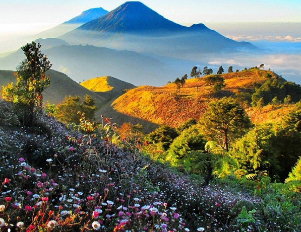 Detail Foto Pemandangan Gunung Yang Indah Nomer 7