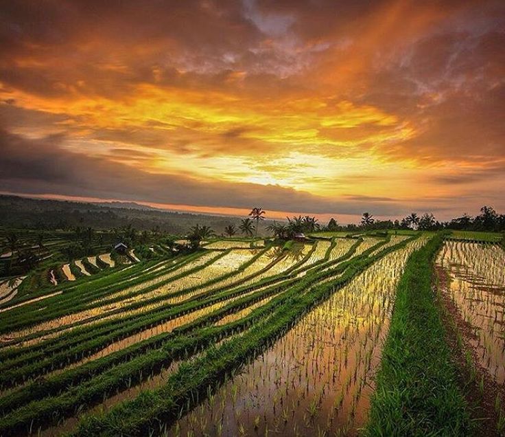 Detail Foto Pemandangan Indah Di Indonesia Nomer 45