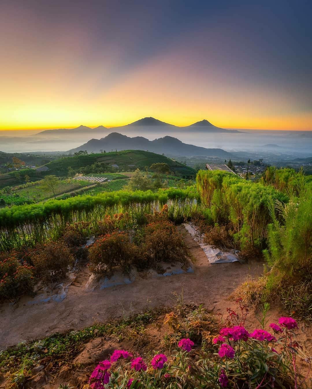 Detail Foto Pemandangan Indah Pagi Hari Nomer 34