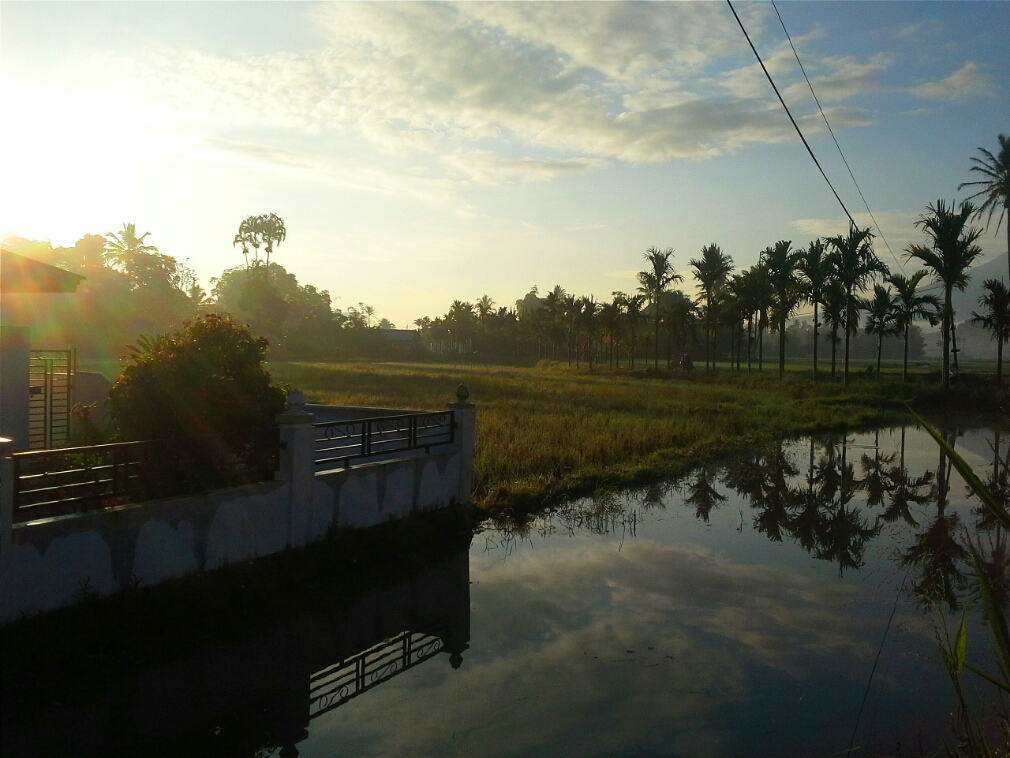 Detail Foto Pemandangan Indah Pagi Hari Nomer 41