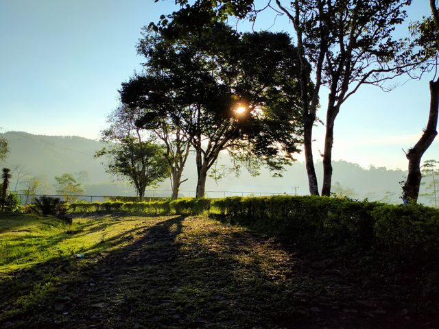 Detail Foto Pemandangan Indah Pagi Hari Nomer 49