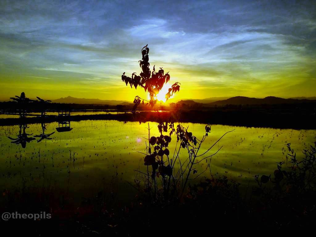 Detail Foto Pemandangan Indah Pagi Hari Nomer 52