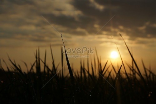 Detail Foto Pemandangan Indah Sunset Nomer 56