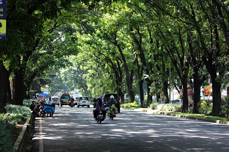 Detail Foto Pemandangan Jalan Nomer 37