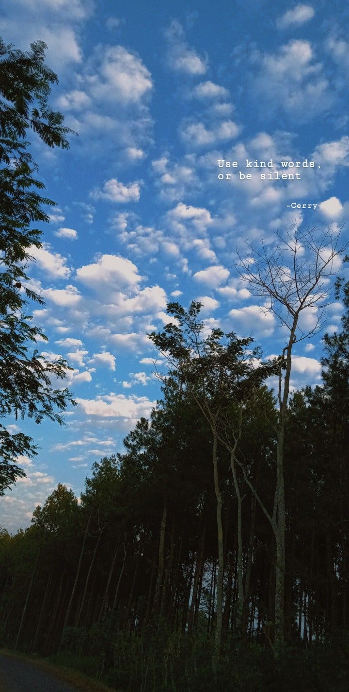 Detail Foto Pemandangan Langit Nomer 16