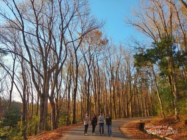 Detail Foto Pemandangan Luar Negeri Nomer 8