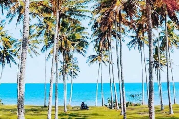 Detail Foto Pemandangan Pantai Yang Indah Nomer 52