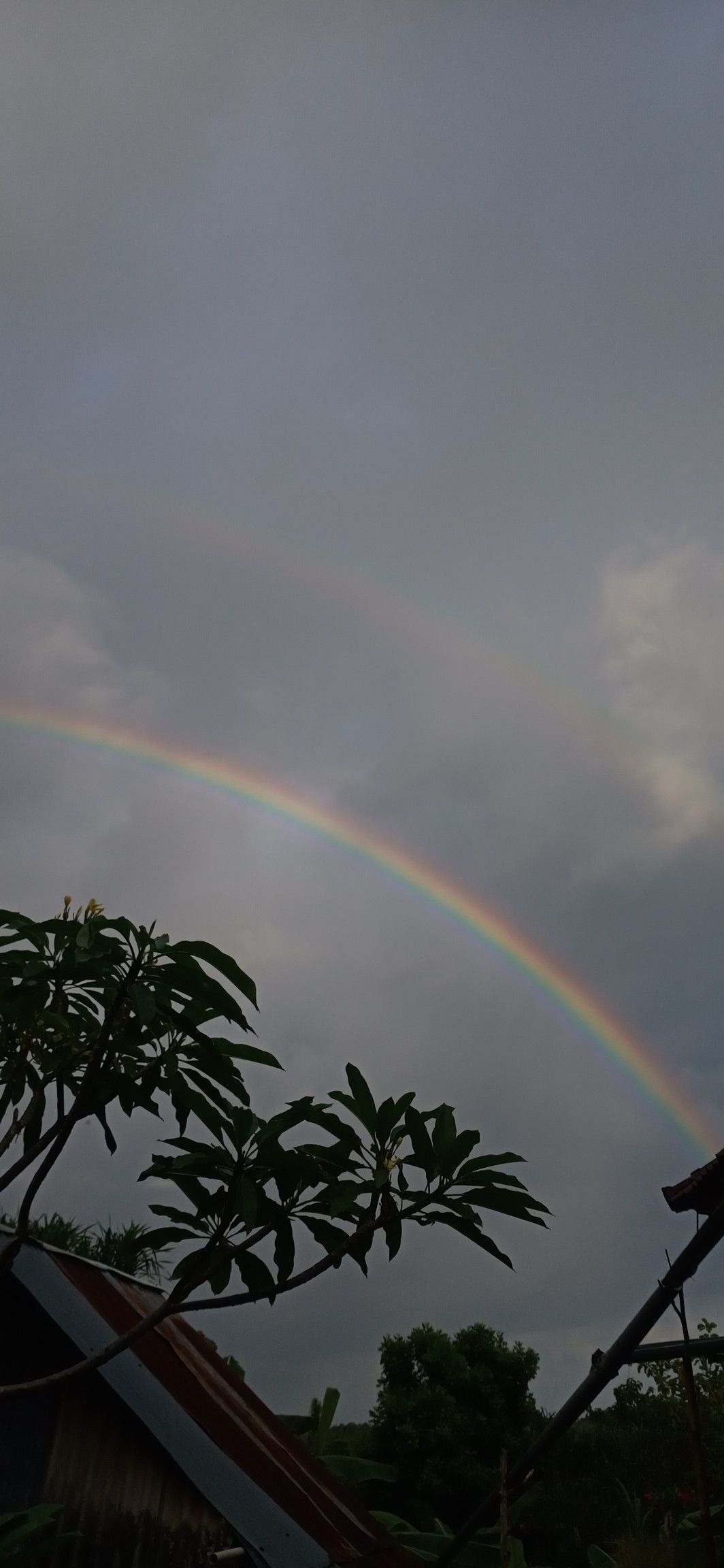 Detail Foto Pemandangan Pelangi Nomer 28