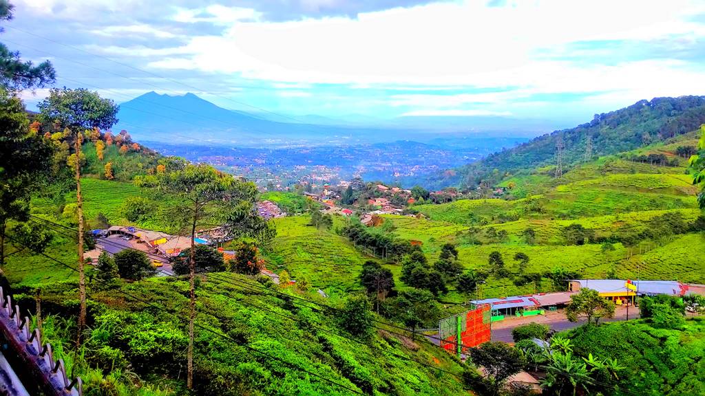 Foto Pemandangan Puncak - KibrisPDR