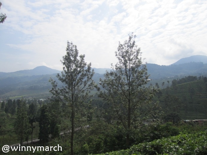 Detail Foto Pemandangan Puncak Nomer 28