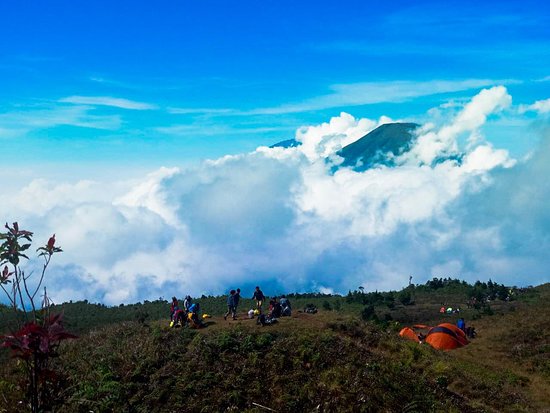 Detail Foto Pemandangan Puncak Nomer 9