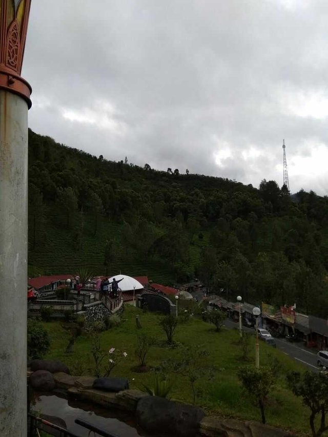 Download Foto Pemandangan Puncak Bogor Nomer 50