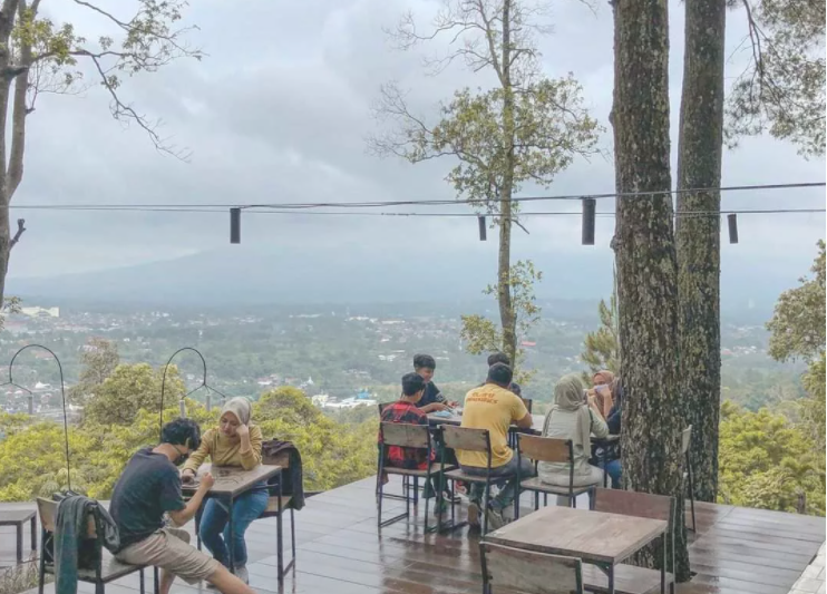 Detail Foto Pemandangan Puncak Bogor Malam Hari Nomer 36