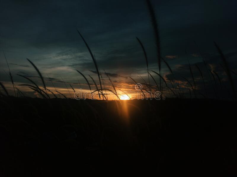 Detail Foto Pemandangan Senja Nomer 21