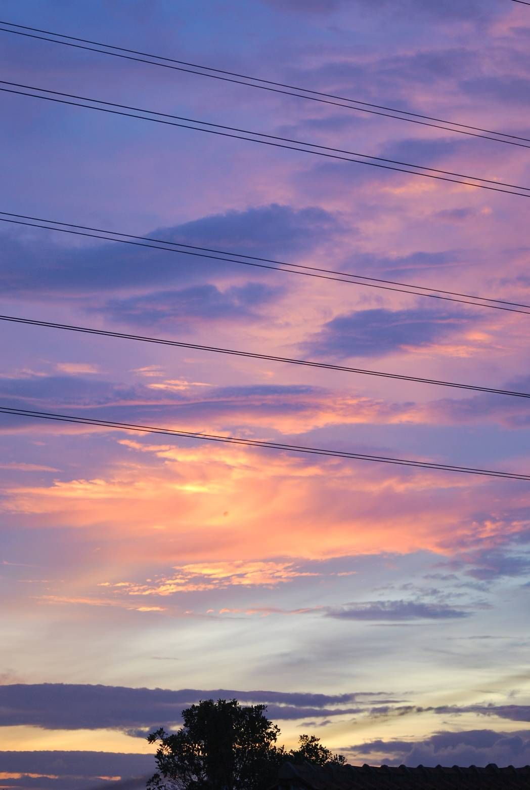 Detail Foto Pemandangan Senja Nomer 5