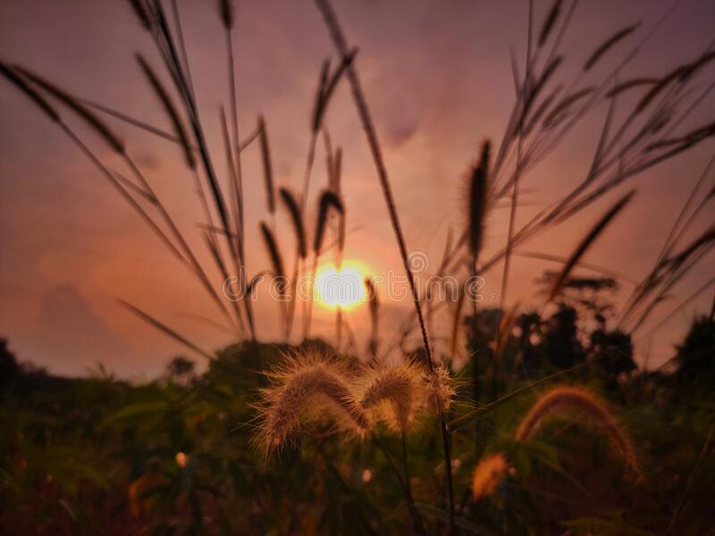 Detail Foto Pemandangan Sore Hari Nomer 2