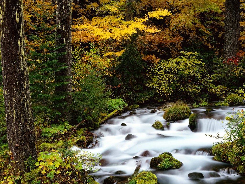 Detail Foto Pemandangan Sungai Nomer 10