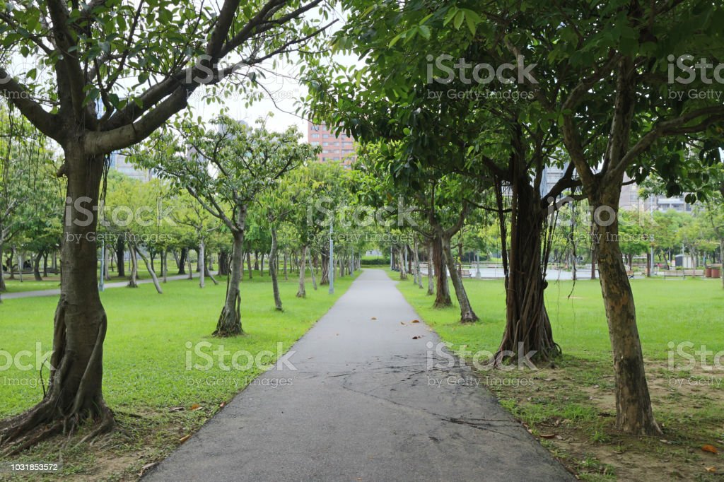 Detail Foto Pemandangan Taman Nomer 4