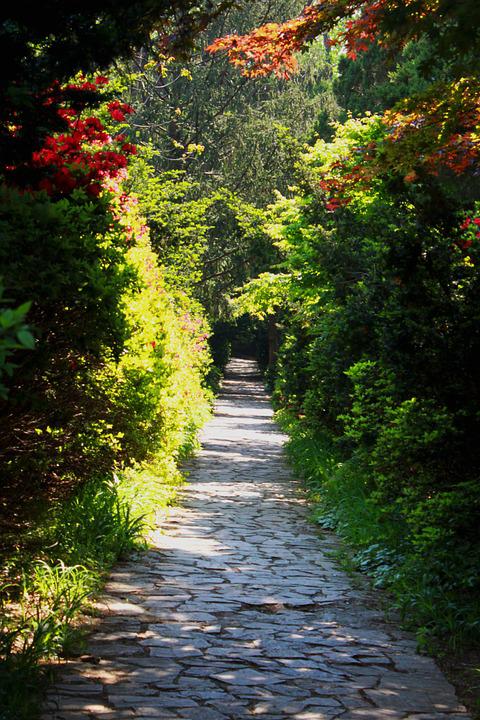 Detail Foto Pemandangan Taman Nomer 9