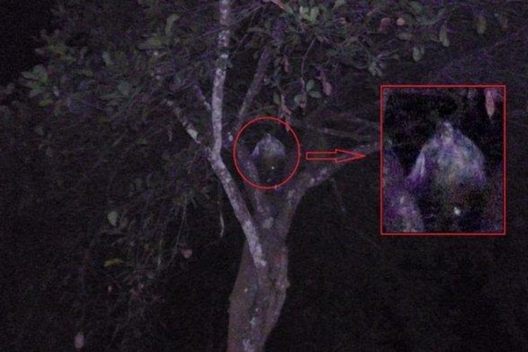 Detail Foto Penampakan Hantu Asli Tanpa Rekayasa Nomer 19