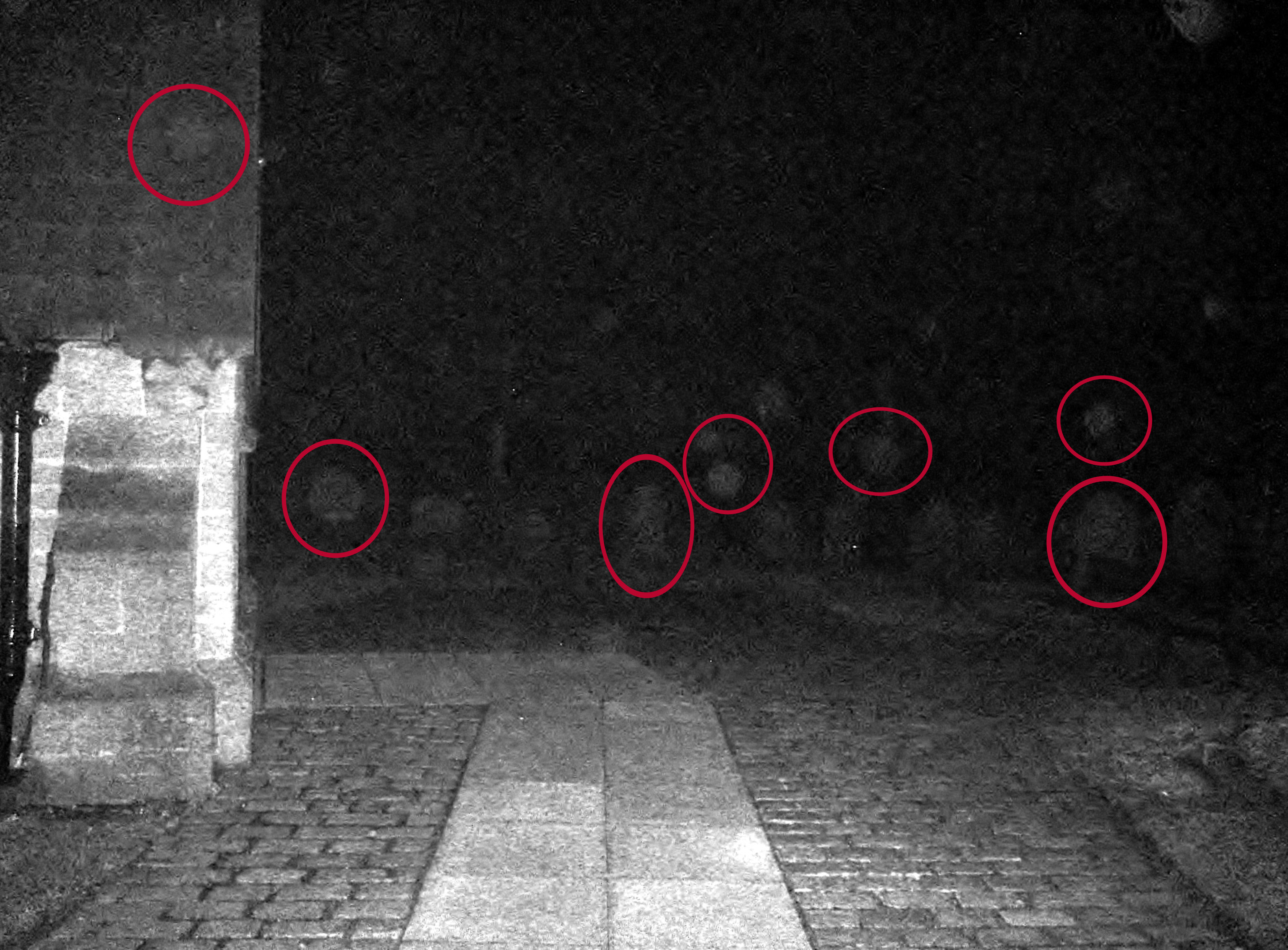 Detail Foto Penampakan Hantu Jejak Paranormal Nomer 29