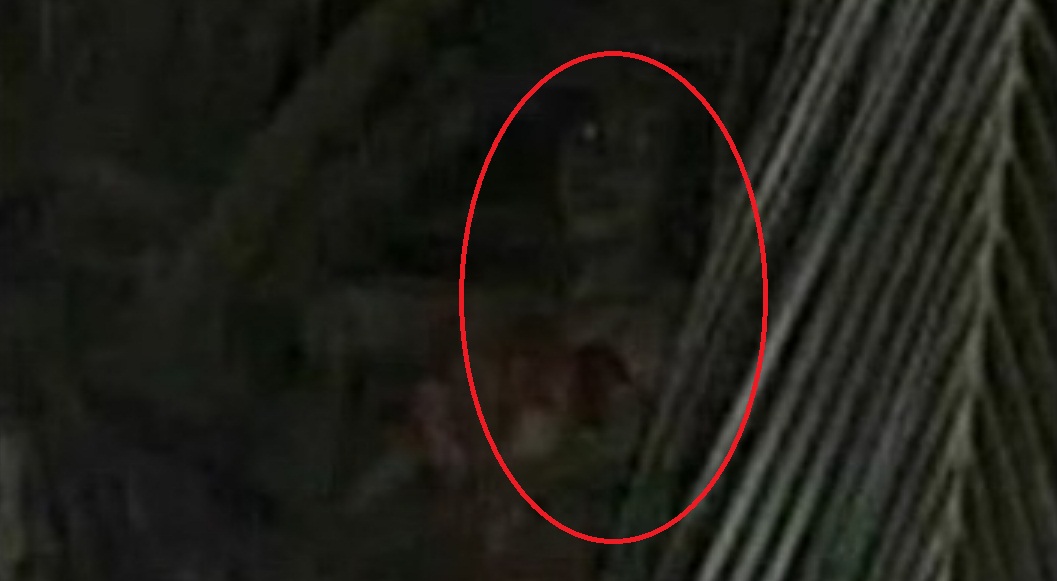 Detail Foto Penampakan Hantu Kalimantan Nomer 12